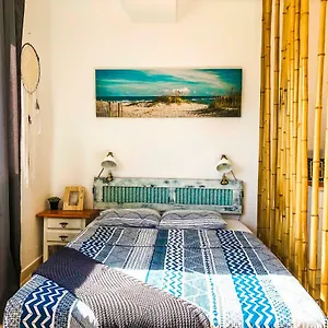 https://aloe-studio.hotelsfuerteventura.org